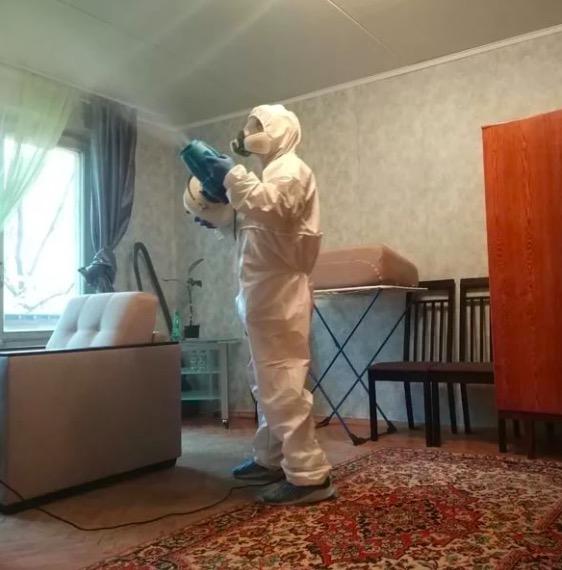 дезинсекция квартиры в Пскове